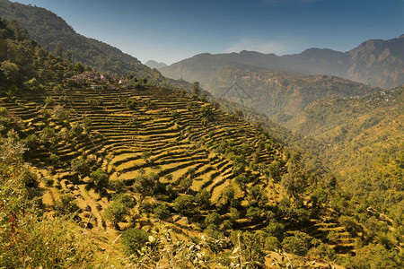 印度Uttaranchal喜马拉雅山脉Garhwal喜马拉雅山高图片