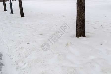 冬季白毛雪图片