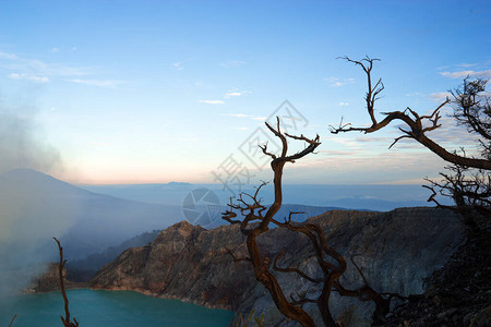 韩国南怡岛印度尼西亚KawahIjien火山美丽的日出硫磺湖山顶上的枯树柔和的焦点冒险旅行概念山背景