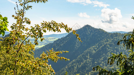 从Pieniny山顶到波兰Dunajec峡图片