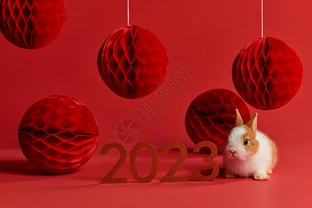 卡通礼盒兔年新年装饰背景