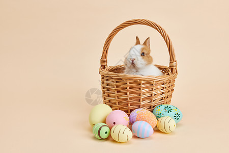 复活节彩蛋兔子图片