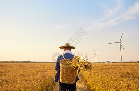 农民背影农民秋收背影背景