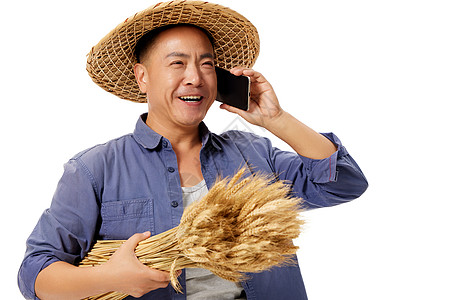 农民伯伯秋收抱着水稻打电话图片