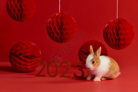 2023年兔年新年装饰背景图片