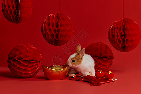 兔年兔子元宝新年装饰背景图片
