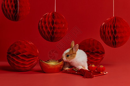兔年兔子元宝新年装饰图片