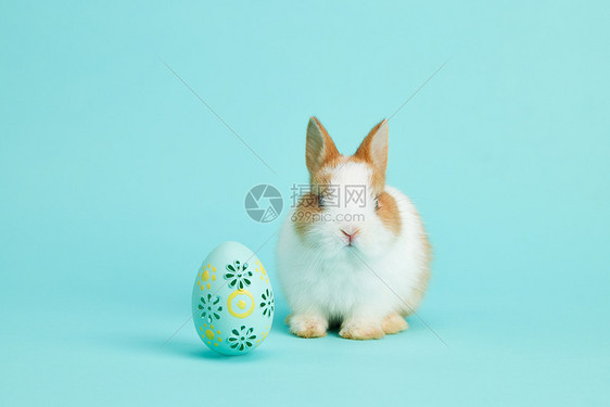 复活节彩蛋可爱小兔子图片