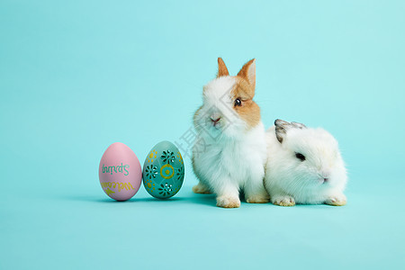 两只小兔子与复活节彩蛋背景图片
