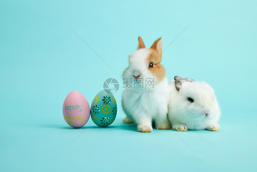 两只小兔子与复活节彩蛋图片