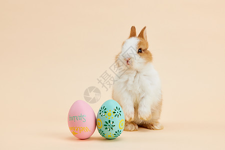 小兔子与复活节彩蛋图片