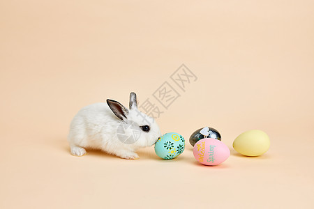 可爱小兔子与复活节彩蛋背景图片