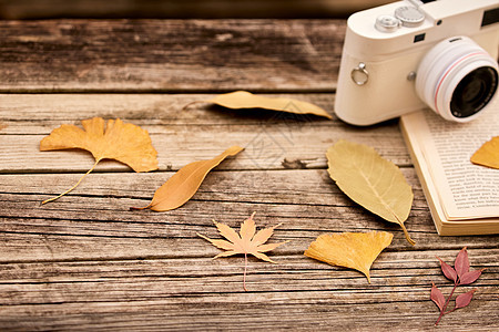 秋季风景落叶与相机图片