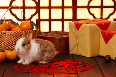 春节兔年喜庆年货静物图片