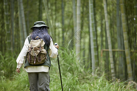 年轻女性竹林里面徒步背影图片