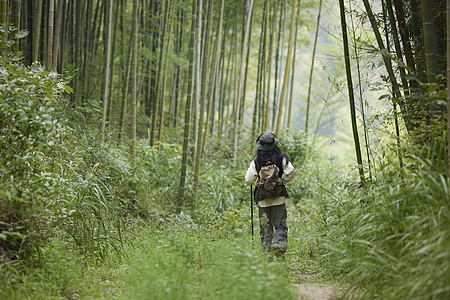 户外登山年轻女性竹林里徒步背影背景