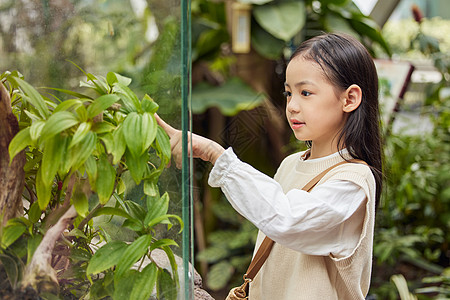 庐山植物园在植物园里游玩的小女孩背景
