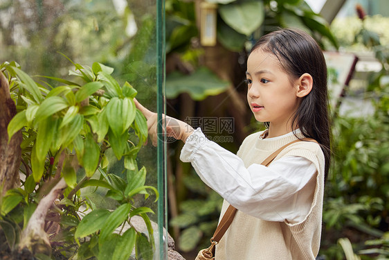 在植物园里游玩的小女孩图片