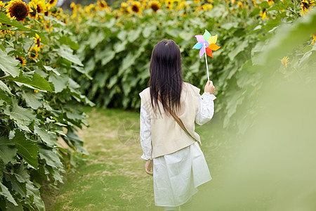 小女孩和向日葵向日葵花田里玩耍的小女孩背影背景