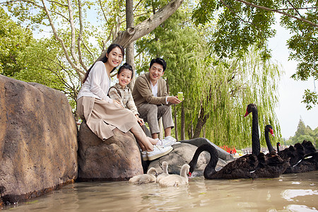 幸福家庭在天鹅湖边玩耍图片
