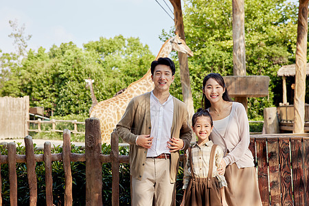 一家人在动物园看长颈鹿图片