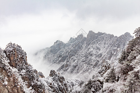 雾凇雪挂河南老君山银装素裹大雪封山雪景背景