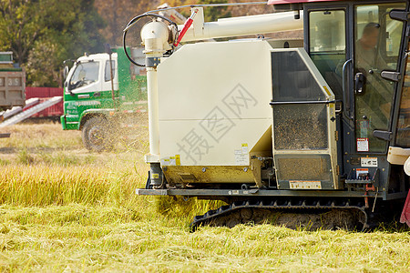 秋季稻田里的收割机机器图片