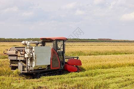 秋天稻田收割机机器图片