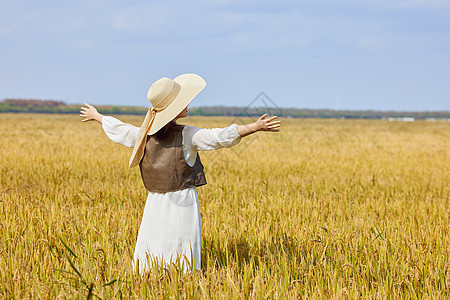 穿着连衣裙走在稻田里的美女形象图片