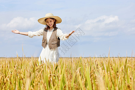 在稻田散步的美女图片