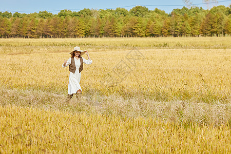秋季在稻田漫步的美女图片