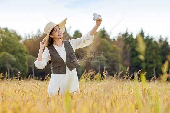 美女站在稻田里使用照相机自拍图片