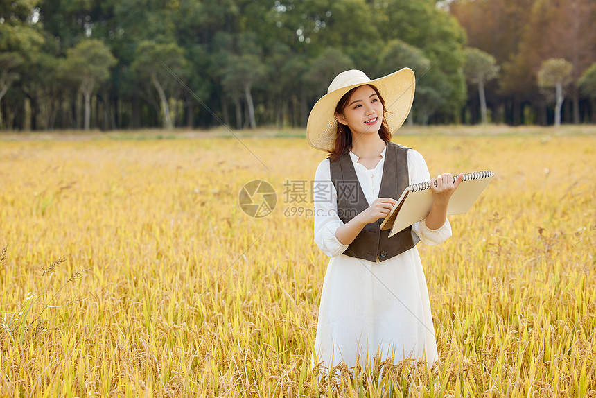 在稻田里写生的美女图片