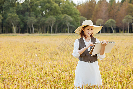 在稻田里画画写生的美女图片