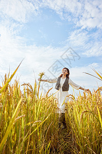 秋季在稻田散步享受的美女图片
