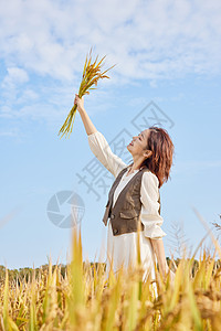 鸭稻秋季稻田里手拿水稻的青年女性背景