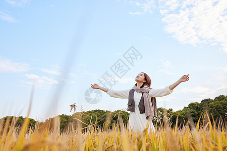 双手张开稻田里的美女张开双手享受自然背景