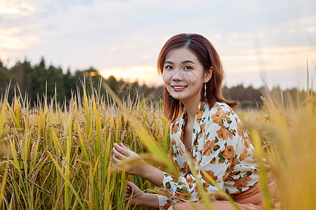 黄昏稻田里郊游的少女高清图片