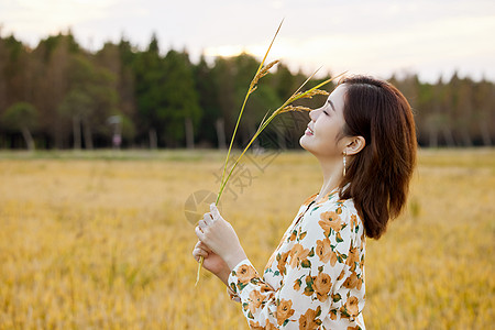 享受自然稻田风光的美女图片