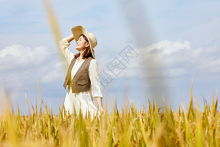 秋季在稻田散步的女性图片