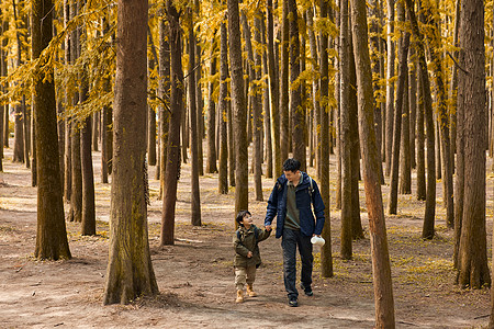 父子在森林徒步旅行高清图片