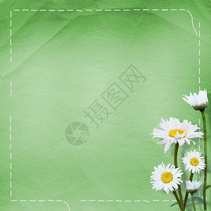 绿色背景上有一束花的旧纸图片