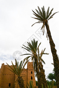 摩洛哥的图片