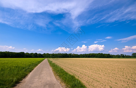 乡村道路穿过农村田风景优图片