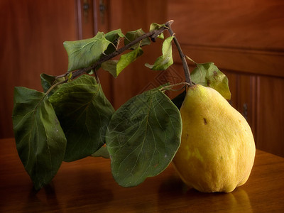 乡村某处木桌上的黄熟木瓜图片