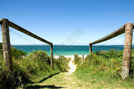 澳大利亚东海岸滩的触图片