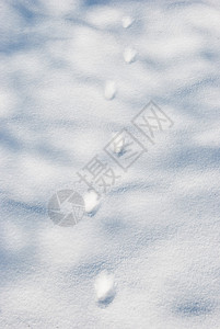 雪上脚印图片