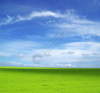 蓝天背景下的田野图片