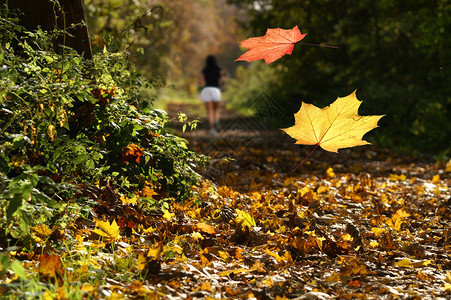 秋天树林里的慢跑者图片