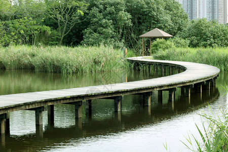 在香港湿地公园图片